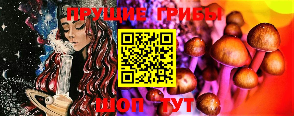 Псилоцибиновые грибы GOLDEN TEACHER  Псилоцибиновые грибы GOLDEN TEACHER  Кимовск  Вход с VPN 